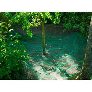 Nature fruit- en bladverzamelnet 4,3x4,3 m 6030451