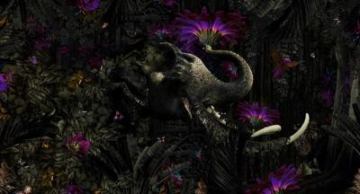 Muance Muance Fotobehang Mumba Kanda - MU13026