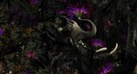 Muance Muance Fotobehang Mumba Kanda - MU13026 - thumbnail