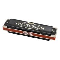 Cascha HH 1610 Professional Blues Harmonica Set (DE/EN/FR/ES) met lesboek - thumbnail