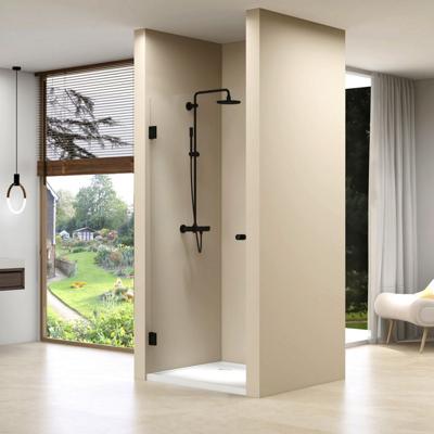 Nisdeur Van Rijn ST01 Profielloos 100x200 cm Helder Glas 8 mm Zwart van Rijn