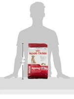 Royal Canin Medium Ageing 10+ hondenvoer 2 x 3 kg - thumbnail