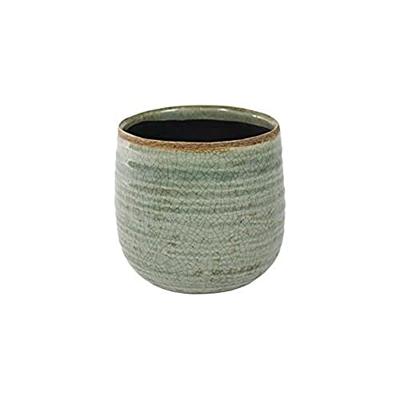 Iris mint bloempot binnen 15x14 cm