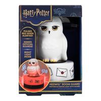 Harry Potter Hedwig kameralarm - thumbnail