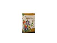 Grow gifts zaden strooidoos friendly flowers vlinders laag 60g Buzzy - Buzzy - thumbnail