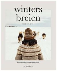 Winters breien (Hardback)