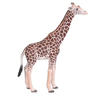 Mojo wildlife wilde dieren safari speelset, 6dlg. - 380026
