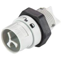 Wieland Electric 46.032.5054.0 Ronde connector Stekker, inbouw Totaal aantal polen: 2 Serie (ronde connectoren): RST® MINI 1 stuk(s) - thumbnail