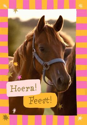 Wenskaart hallmark uitnodiging paarden 6 stuks