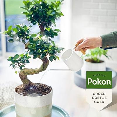 Pokon Bonsai Voeding Bio 250ml - thumbnail