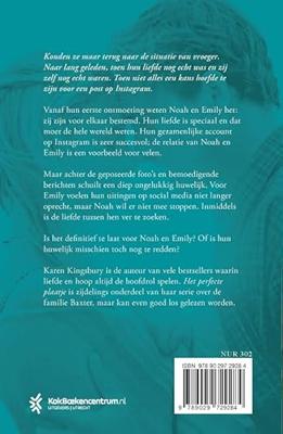 Het perfecte plaatje (Paperback)