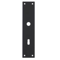Intersteel renovatieschild rechthoekig 250x55x2mm sleutelgat 72mm - RVS/mat zwart - thumbnail
