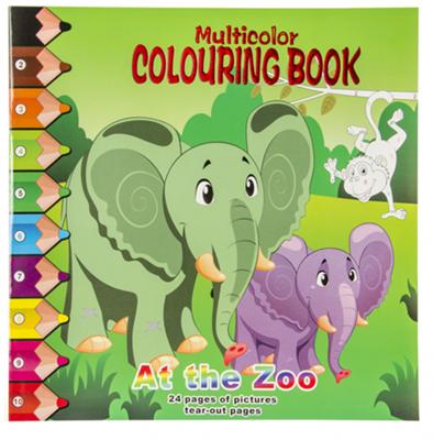 LG Imports kleurboek flying animals junior 28,5 cm karton groen LG Imports kleurboek flying animals junior 28,5 cm karton groen