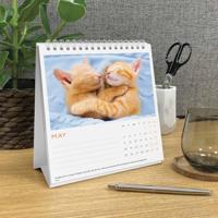 Cat Naps Deskkalender 2026 - thumbnail