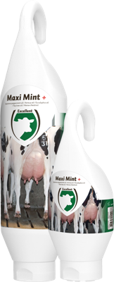 Maxi Mint grootverpakking incl. dosator