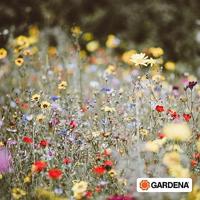 Snoeischaar Gardena 25 cm Bypass - thumbnail