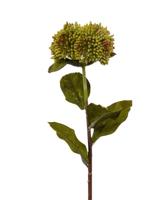 Sedum kunsttak 50 cm groen - thumbnail