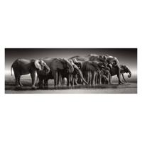 Clementoni legpuzzel herd of giants, 1000st. - thumbnail