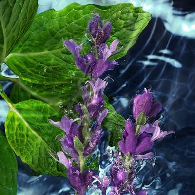 Davidoff Cool Water Man Body Spray 150ml Lichaamsmist Heren Davidoff Cool Water Man Body Spray 150ml Lichaamsmist Heren