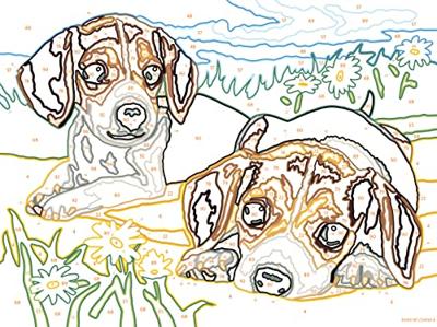 Ravensburger Creart schilderen op nummer - beagle puppies