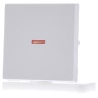 Busch-Jaeger bedieningswip 1789-884 studiowit mat