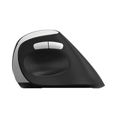 Draadloze muis - RAPOO - EV250 - Ergonomisch - 1600 DPI - Stille klik