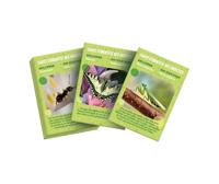 Het CLEMENTONI insectenhuis - thumbnail