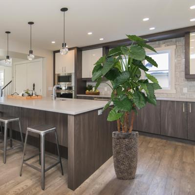 Alocasia Calidora deluxe kunstplant 165cm