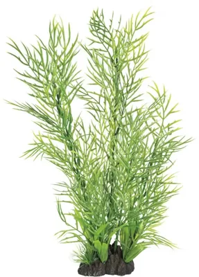 Superfish Artplant 40cm ceratopteris 1Stuk