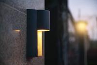 Lutec Urban LED-buitenwandlamp - thumbnail