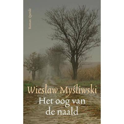 Het Oog van de Naald (Hardback)