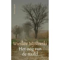 Het Oog van de Naald (Hardback) - thumbnail