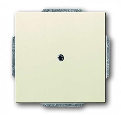 Busch-Jaeger 2CKA001710A3145 Blindafdekking, Kabelinvoer Afdekking Future lineair Parel-wit, Crème-wit 1 stuk(s) Busch-Jaeger 2CKA001710A3145 Blindafdekking, Kabelinvoer Afdekking Future lineair Parel-wit, Crème-wit 1 stuk(s)