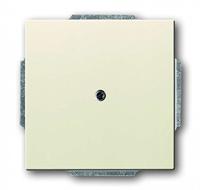 Busch-Jaeger 2CKA001710A3145 Blindafdekking, Kabelinvoer Afdekking Future lineair Parel-wit, Crème-wit 1 stuk(s) - thumbnail