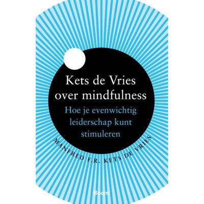 Kets de Vries over mindfulness (Paperback)