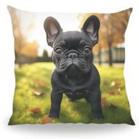 Kussen - Huisdier Portret - Franse Bulldog 1 - Pillow Buddies - thumbnail