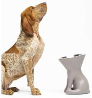 Voerbak voor honden United Pets Up Elisabeth Grijs Roestvrij staal Polyethyleen 1 L - thumbnail