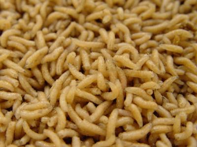 Pinkies Online Bestellen 1/2 Liter / 500cc