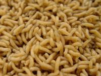 Pinkies Online Bestellen 1/2 Liter / 500cc - thumbnail