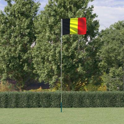 VidaXL Vlag met vlaggenmast belgië 5,5 m aluminium VidaXL Vlag met vlaggenmast belgië 5,5 m aluminium