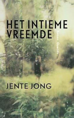 Het intieme vreemde (Paperback)