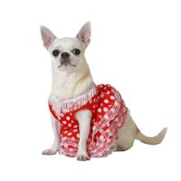 BigBuy Pets Kostuum voor honden, maat M, flamenco-danseres - thumbnail