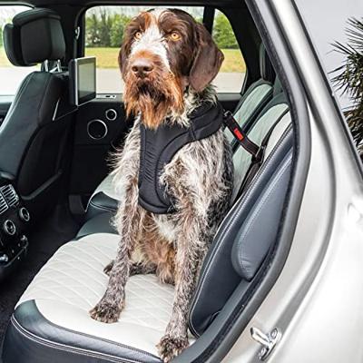 KONG AUTOGORDEL HOND ULTIMATE SAFETY - thumbnail