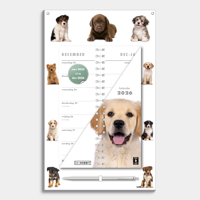 Honden Omslag Kalender 2026 - thumbnail