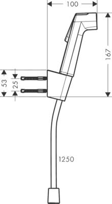 Hansgrohe bidethanddouche 1jet EcoSmart met Porter S douchehouder en doucheslang 125 cm, chroom