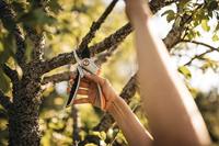 Fiskars 1057168 Plus™ P531 Tuinschaar 210 mm - thumbnail
