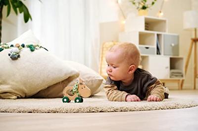 Eichhorn baby hipp houten duwfiguur ezel