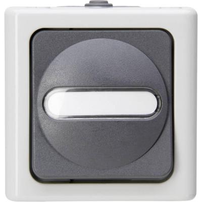 Kopp 561456001 BlueElectric Compleet Knop spatwaterdicht Grijs 1 stuks 1 stuk(s)