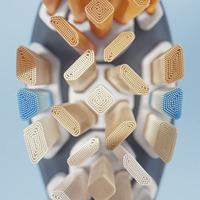 Philips HX9092/11 A3 Premium All In One Opzetborstels 2 Stuks Zwart - thumbnail