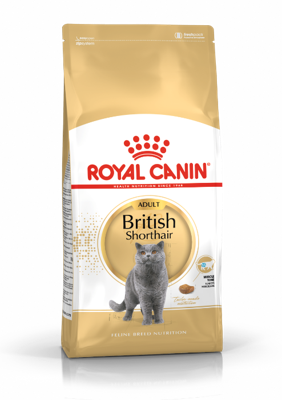 Royal Canin Adult British Shorthair kattenvoer 2 x 10 kg